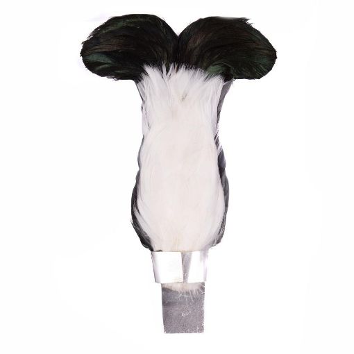 Picture of SCOTS Blackcock Feather Plume